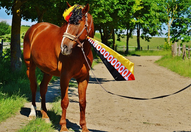 意媒：铃木彩艳可能因为手部骨折缺阵三个月，明年2至3月复出