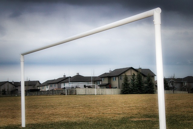 里夫斯：虽然文班缺席但福克斯状态正佳，我们要坚决执行战术