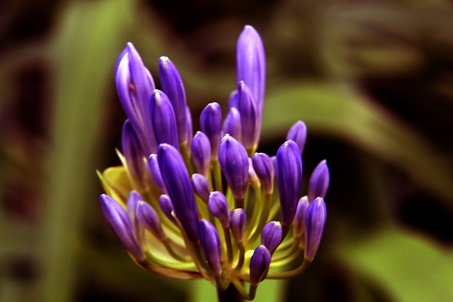 雙方球隊如 雙方球隊如