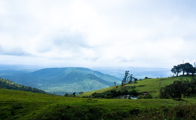 判罰爭議成 判罰爭議成