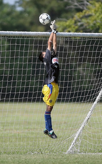 队友需要为 队友需要为