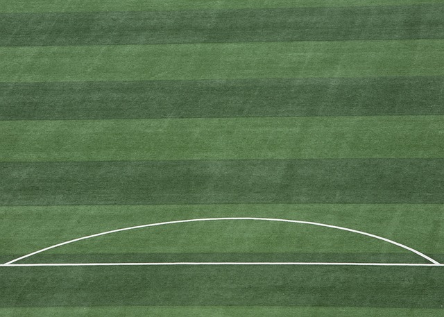 的球员更多 的球员更多