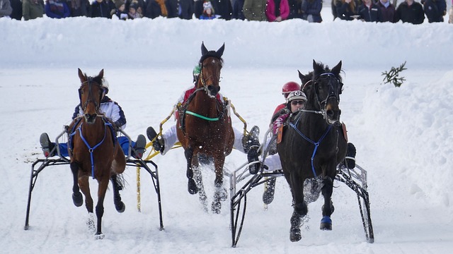 排名系統基 排名系統基