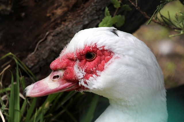 大门的背后 大门的背后