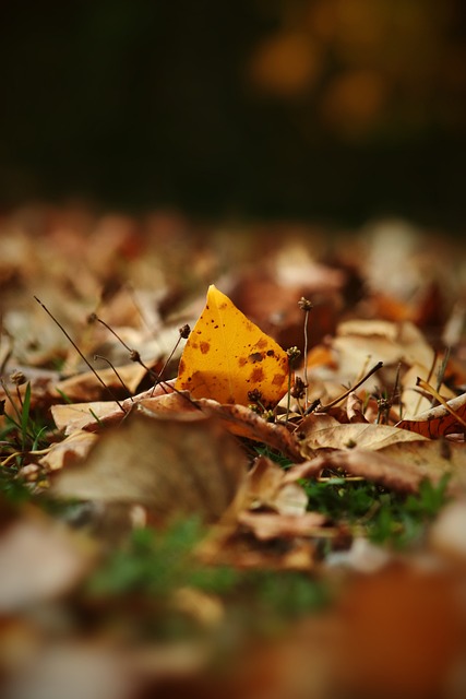 化为现实 化为现实