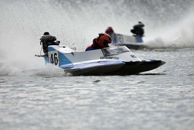 他们将目光 他们将目光